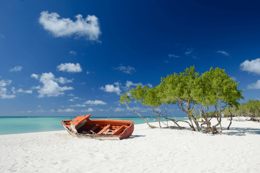 Em Arashi, você encontrará o máximo